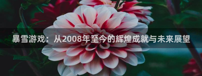 bg大游子的图片：暴雪游戏：从2008年至今的辉煌成就与未来展望