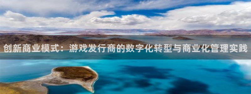 bg大游子文化是干什么的：创新商业模式：游戏发行商的数字化转型与商业化管理实践