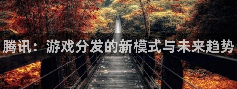 bg大游子酒业：腾讯：游戏分发的新模式与未来趋势