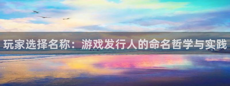 bg大游官网注册平台官网下载：玩家选择名称：游戏发行人的命名哲学与实践
