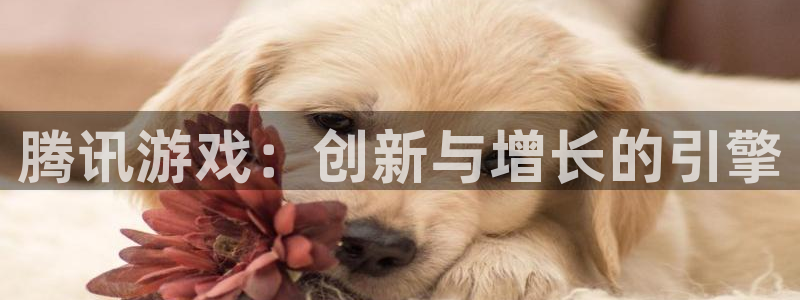 bg大游官网代理注册不了：腾讯游戏：创新与增长的引擎