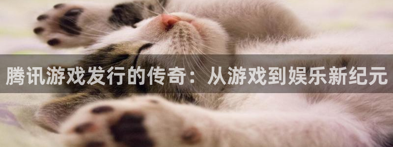 bg大游logo