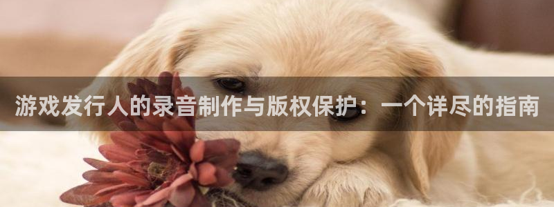 bg大游子最好看的小说：游戏发行人的录音制作与版权保护：一个详尽的指南