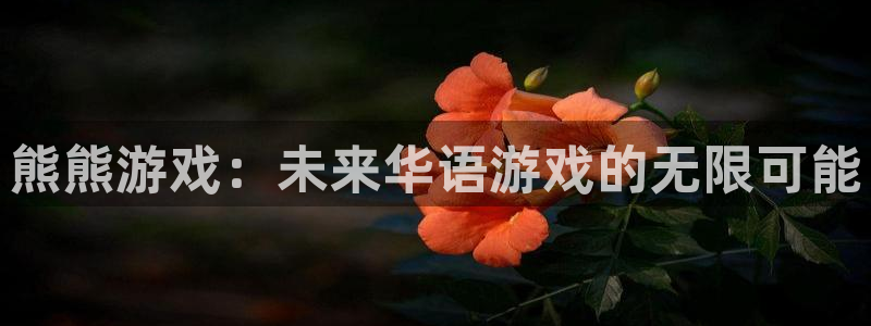 bg大游官网客服怎么样：熊熊游戏：未来华语游戏的无限可能
