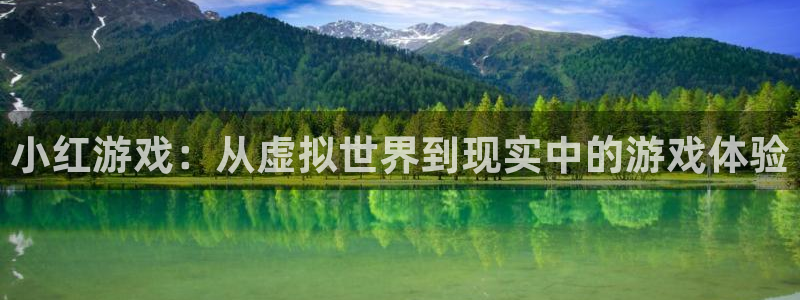 bg大游啤酒多少钱一箱