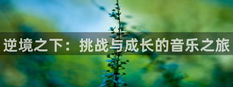 bg大游主管