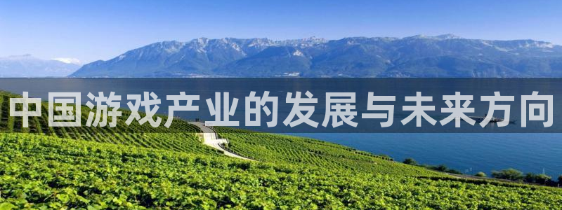 江苏bg大游