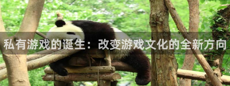 bg大游涂料怎么样