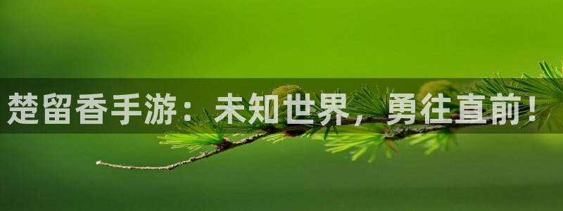 bg大游官网平台合法吗：楚留香手游：未知世界，勇往直前！