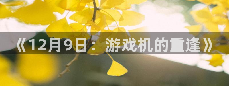深圳市bg大游科技有限招聘公司：《12月9日：游戏机的重逢》