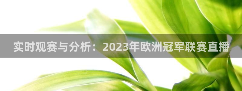 鲸鱼体育nba直播在线观看：实时观赛与分析：2023年欧洲冠军联赛直播